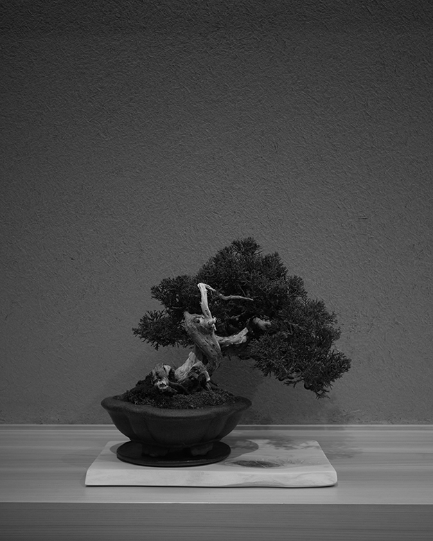 HADATE  RAW UNI FROM HOKKAIDO JAPAN